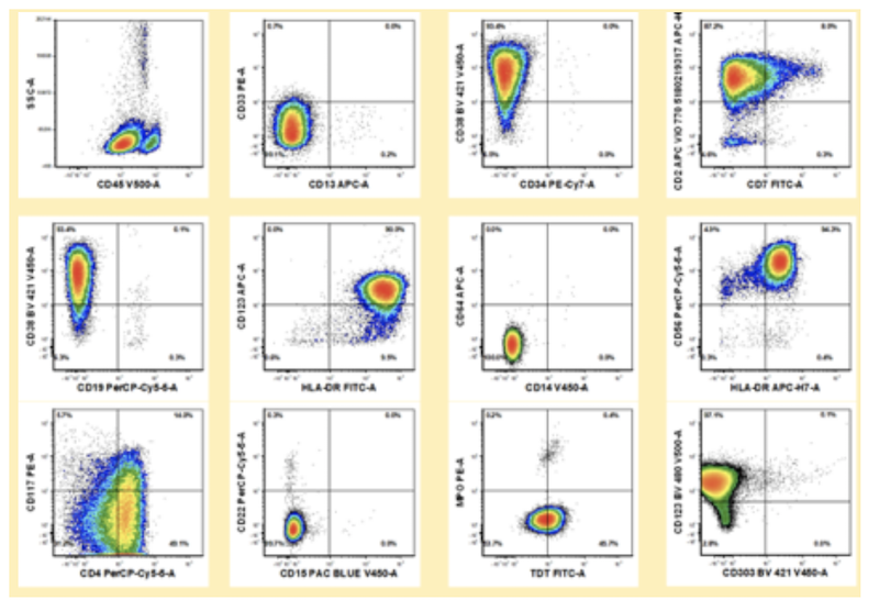 International Clinical Cytometry Society