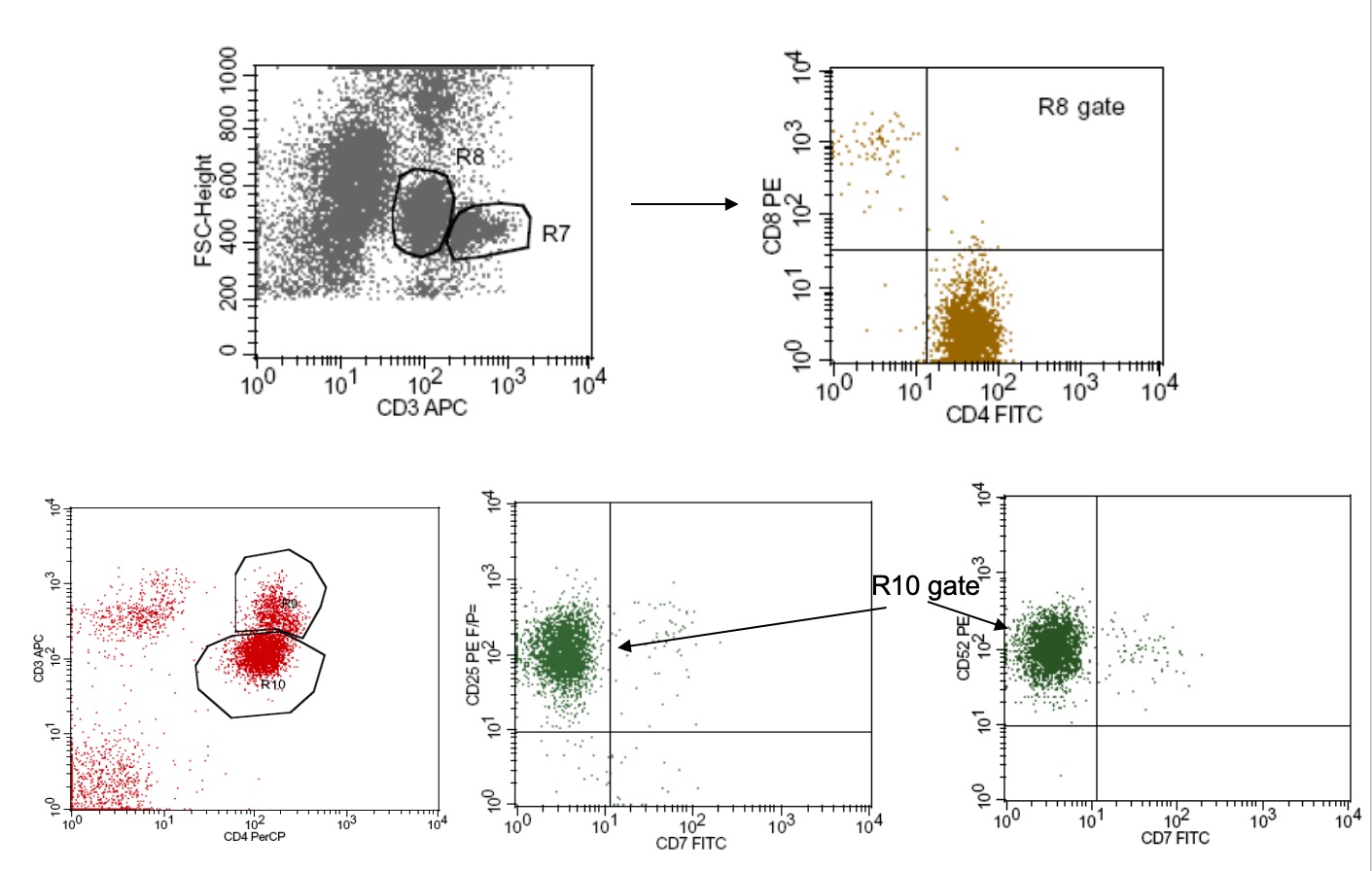 International Clinical Cytometry Society
