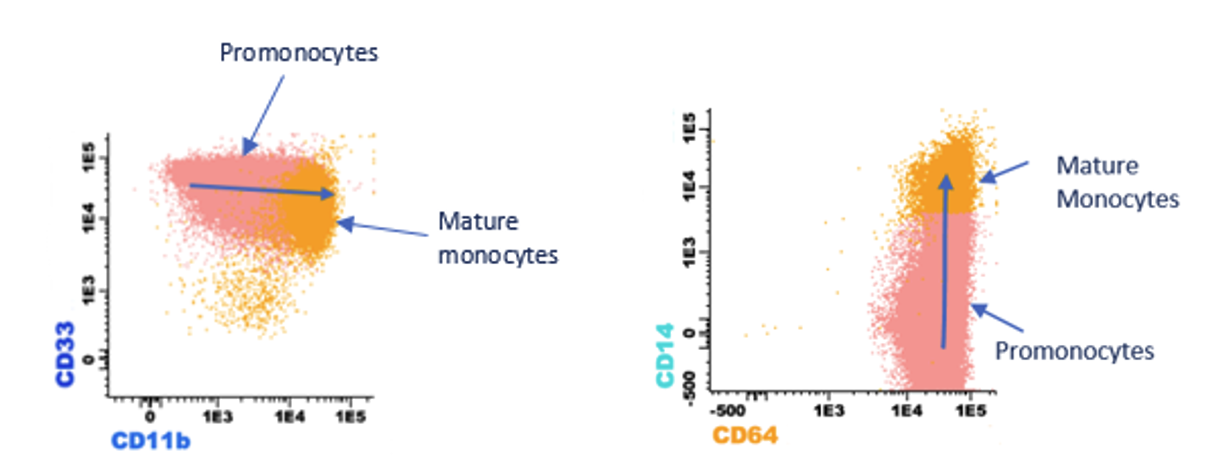 International Clinical Cytometry Society